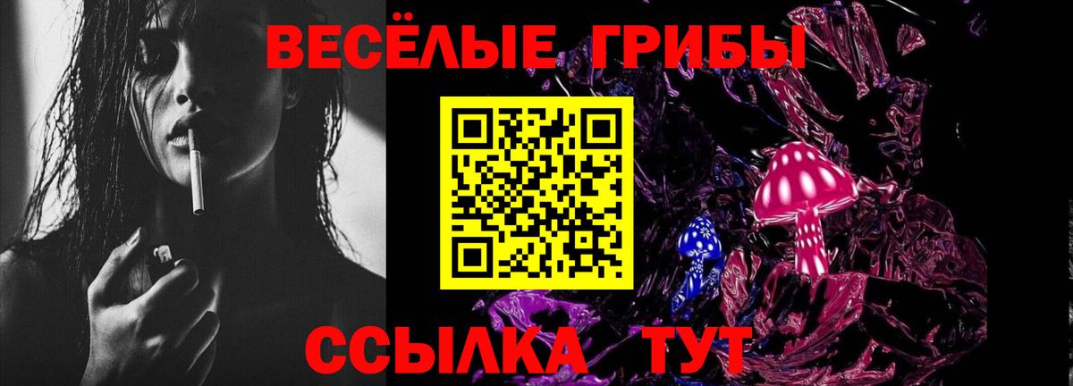 Галлюциногенные грибы Cubensis Зима