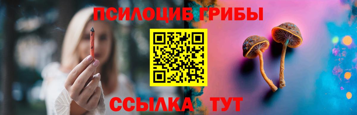 Галлюциногенные грибы MAGIC MUSHROOMS  Вход с VPN  Зима 